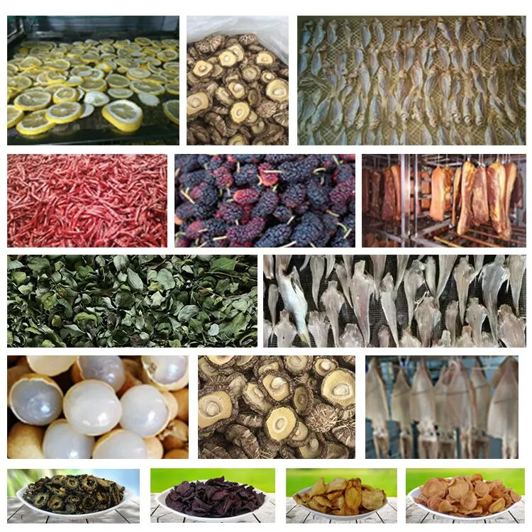 Good Performance Fruit Vegetable Fish Cardamom Cotton Chrysanthemum Cucumber Cherry Duck Duck Pet Food Dryer Kiwi Macaroni Orange Peel Octopus Olive Dehydrator